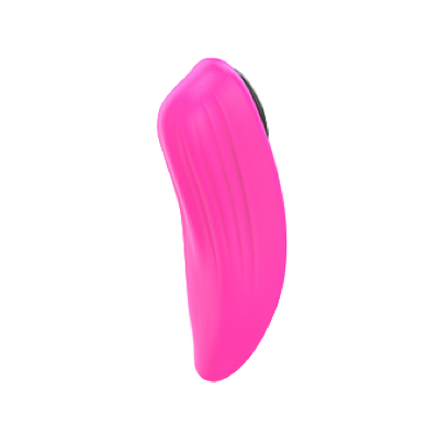 Ferri Magnetic Panty Vibrator