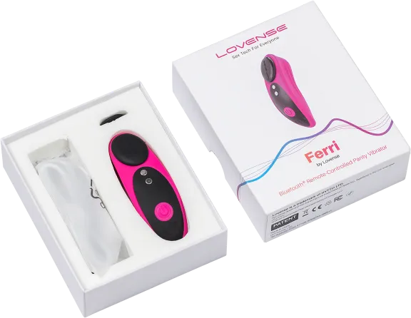 Ferri Magnetic Panty Vibrator