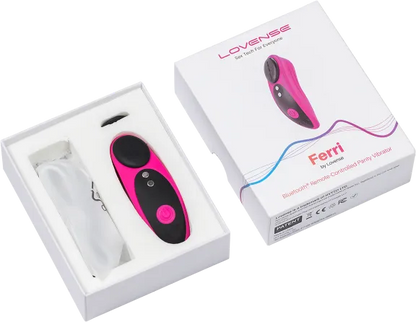 Ferri Magnetic Panty Vibrator