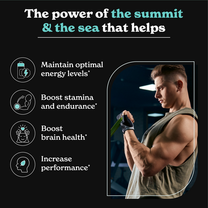 Drmarkhealth Gold+ Shilajit Capsules