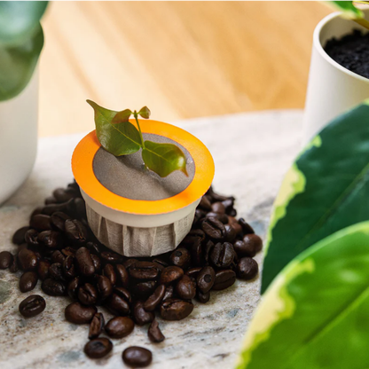 Pure Bean Pods Coffee