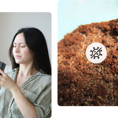 Pure Bean Pods Coffee