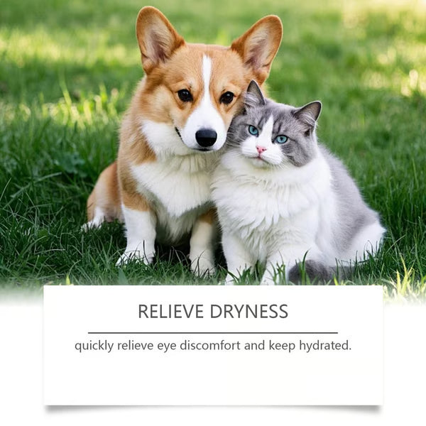 Eye Drops For Cat & Dog