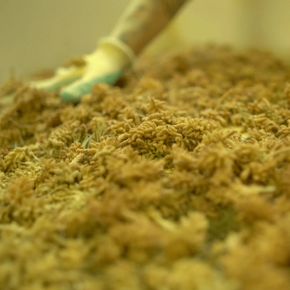 Essential Oil Liposomal Remedy