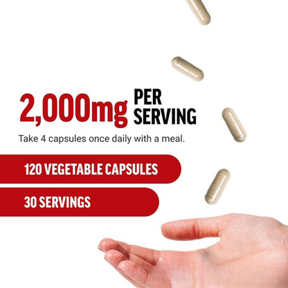 MAXX Testosterone + Energy + Stamina