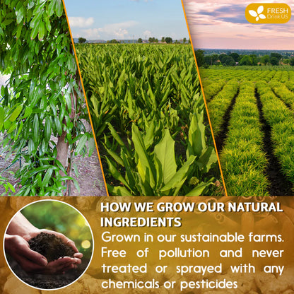 Turmeric Ginger Herbal Tea