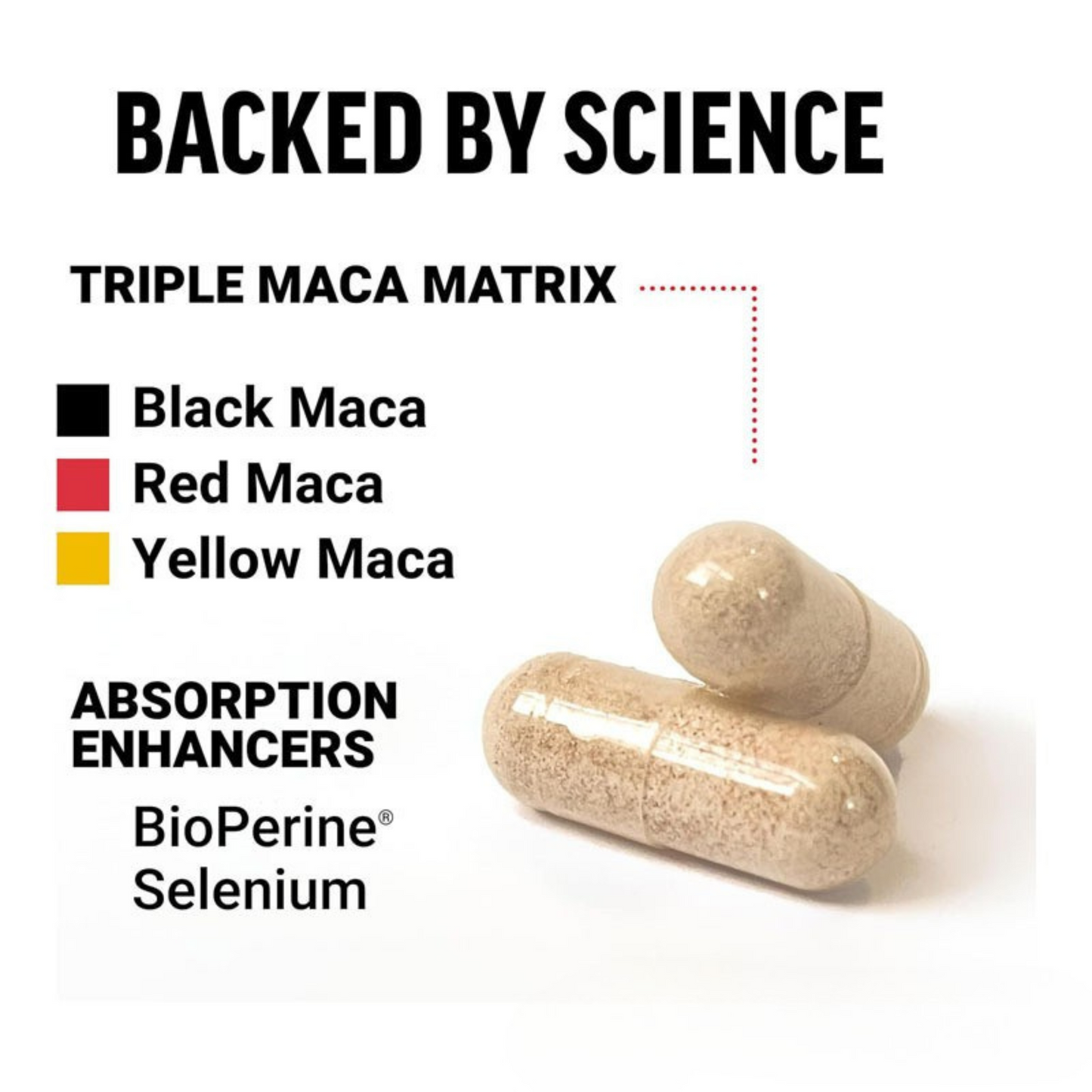 MAXX Testosterone + Energy + Stamina