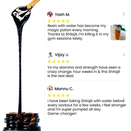 Himalayan Shilajit Resin