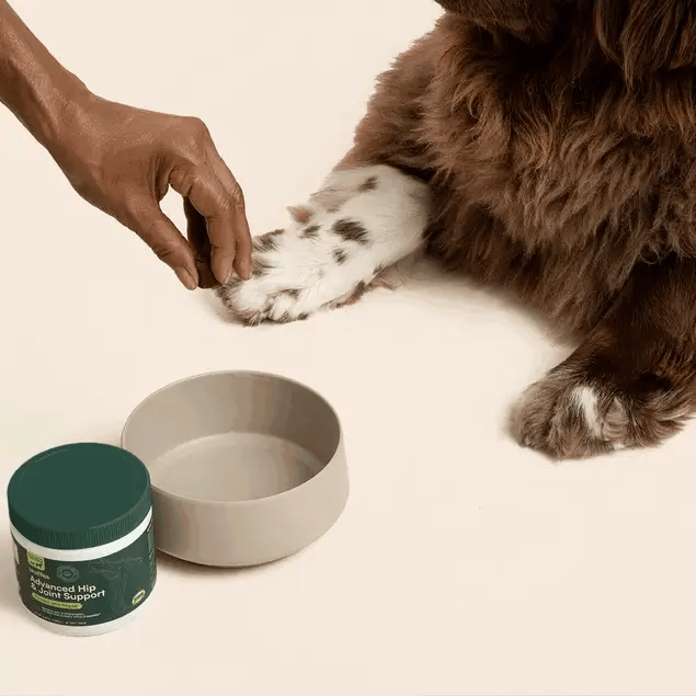 Advanced Pet Hip Joint Support